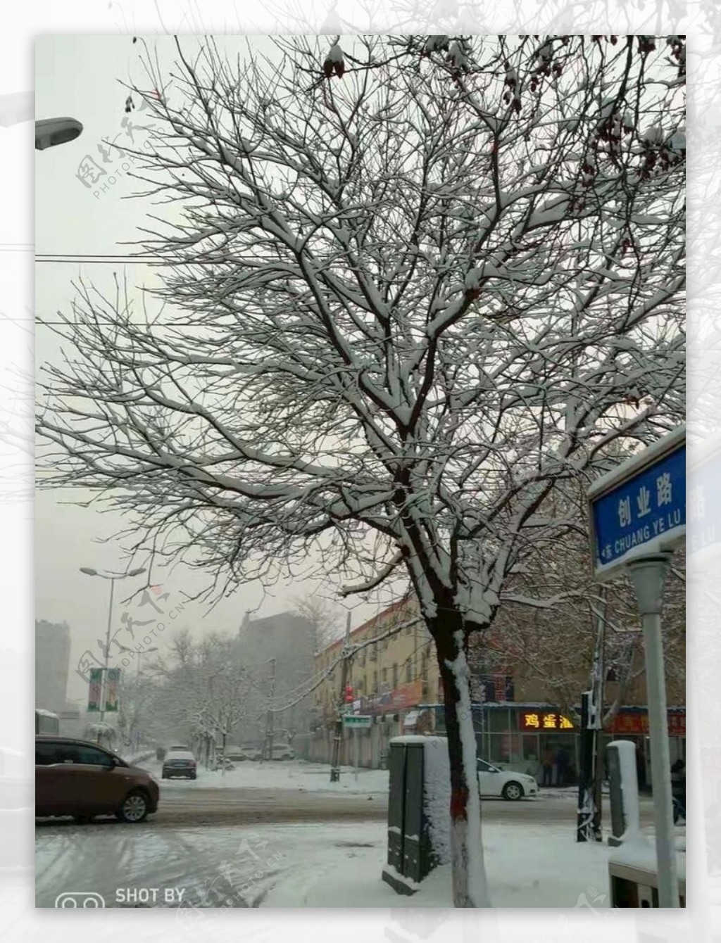 雪雪景雪花雪树雾