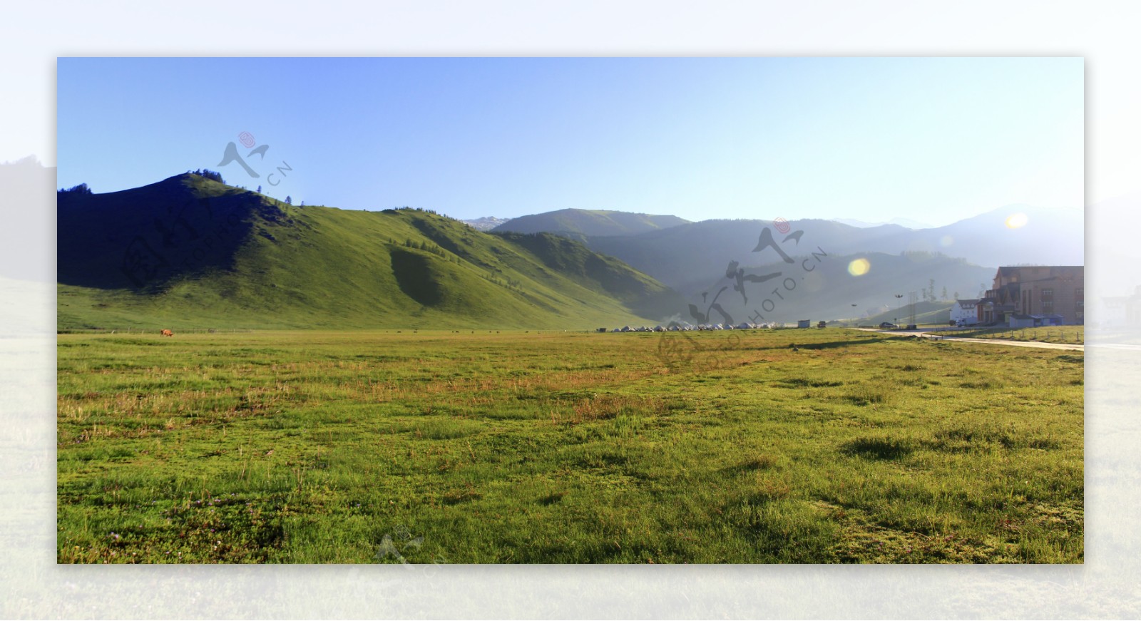 高山草地