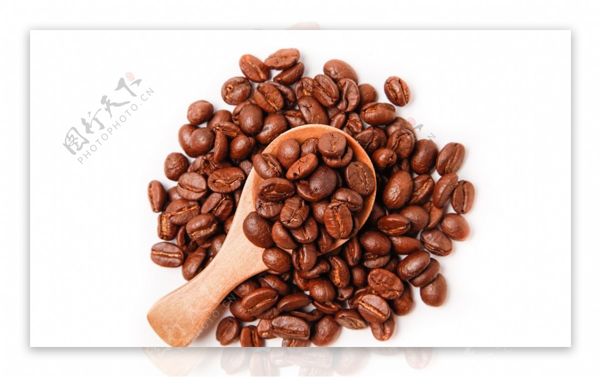 精品优质咖啡豆