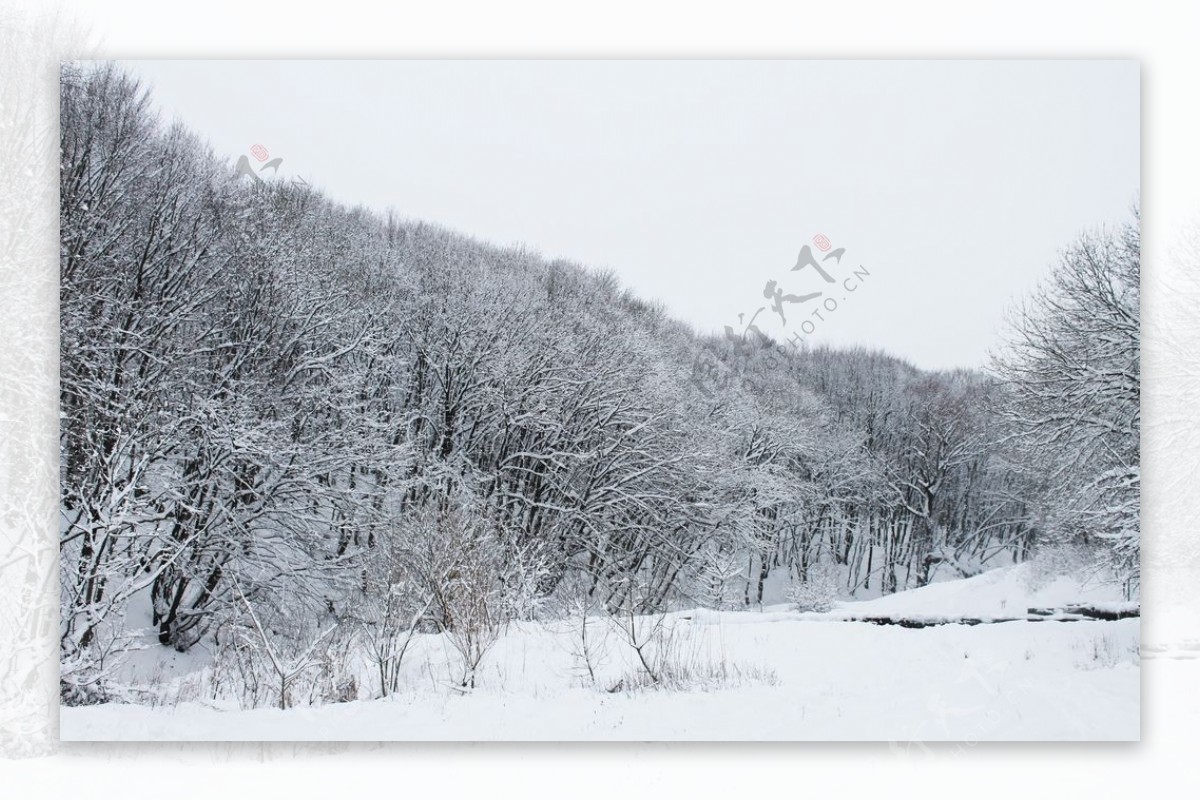 雪中的山林