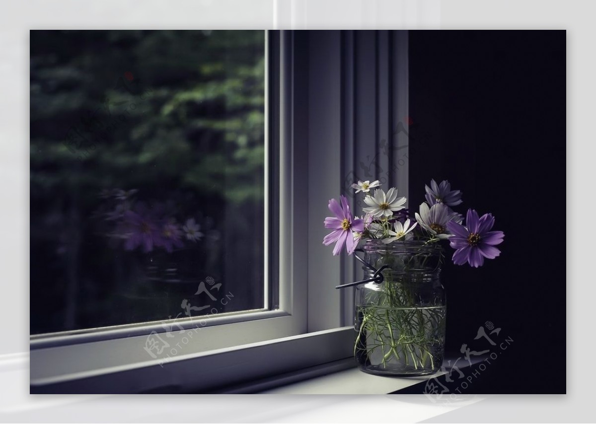 窗台花朵花瓶背景