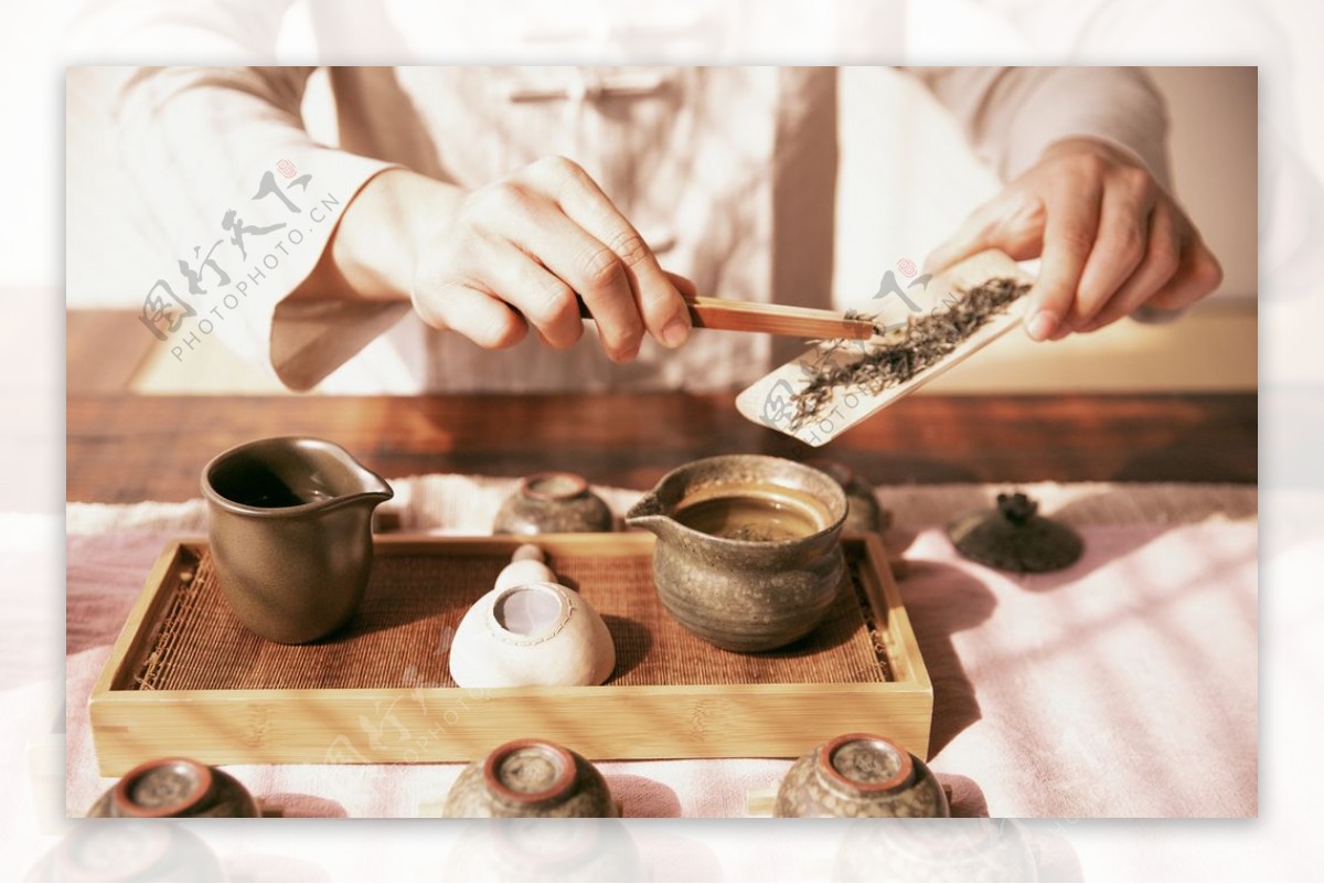 中国茶文化沏茶