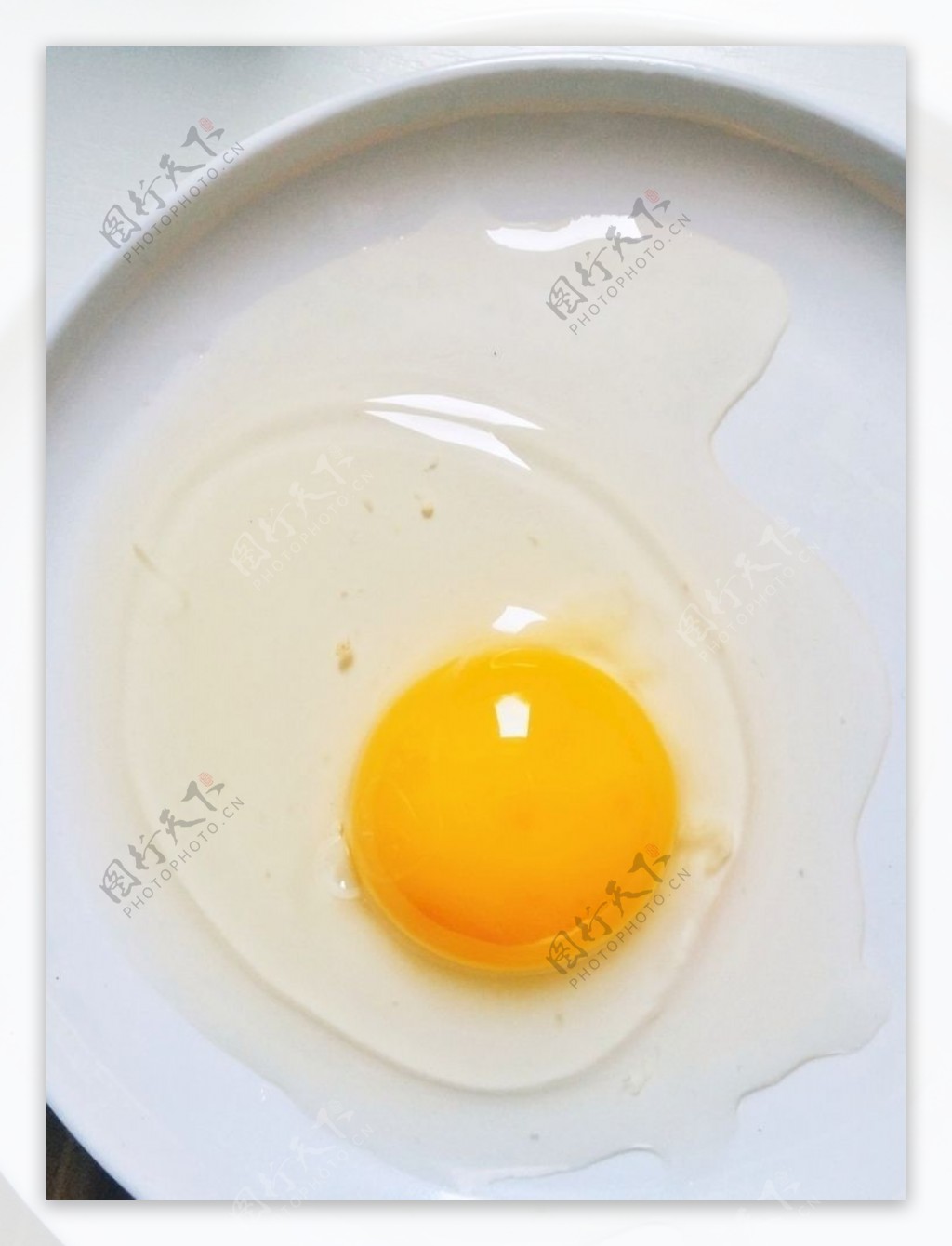 生鸡蛋鸡蛋蛋黄蛋清液