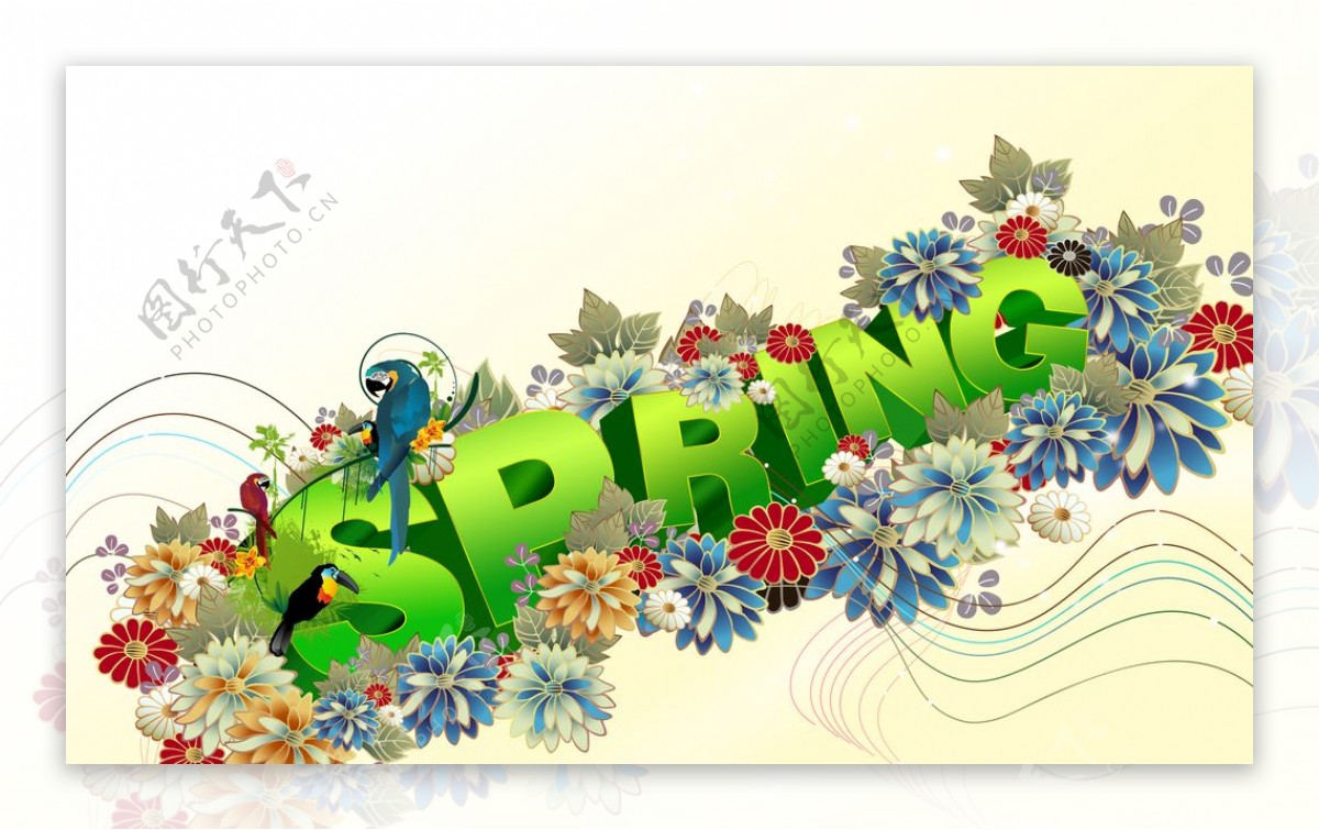 春天字体设计spring