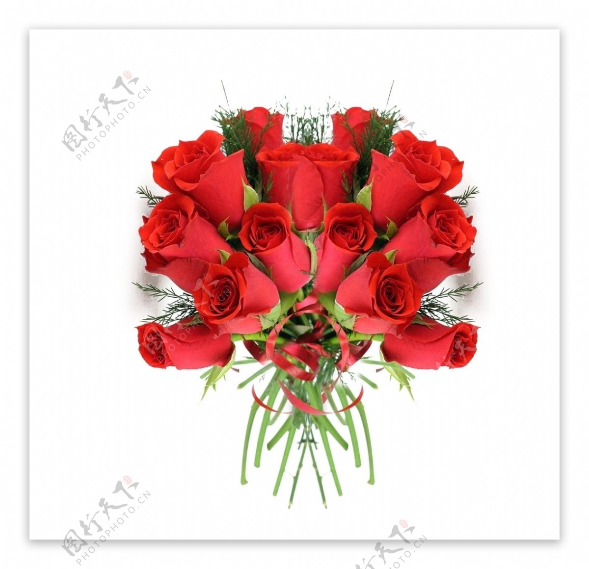 一束美丽的红色玫瑰鲜花素材