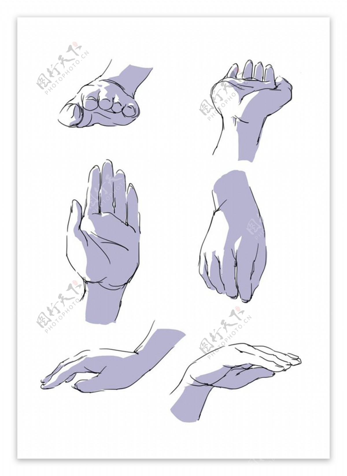 人体手型动态分析