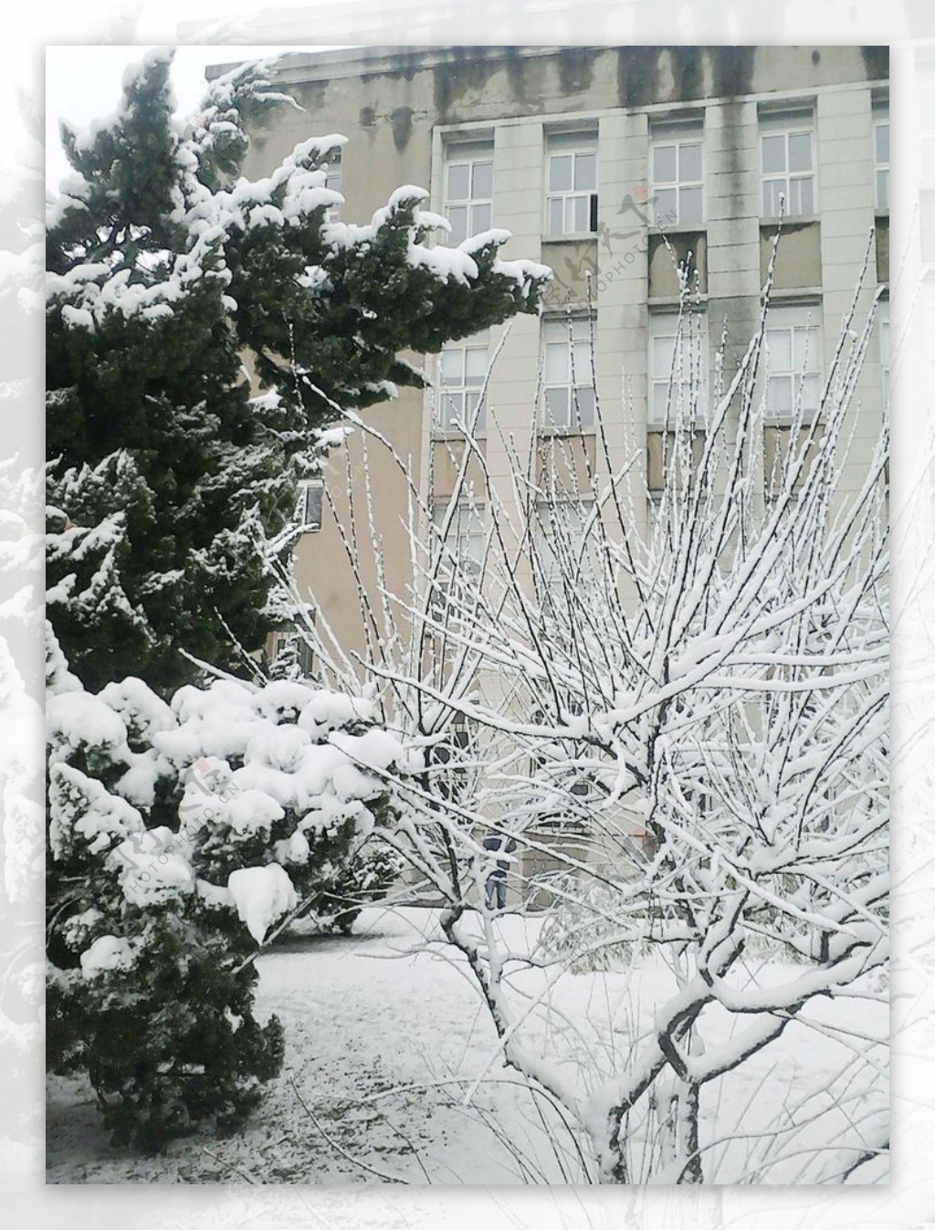 浪漫校园雪景