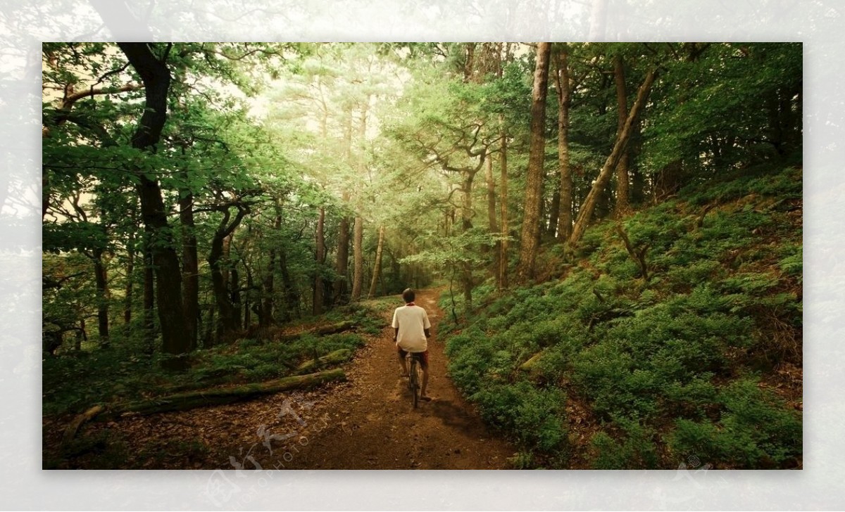 在森林小道上骑自车的人绿色自