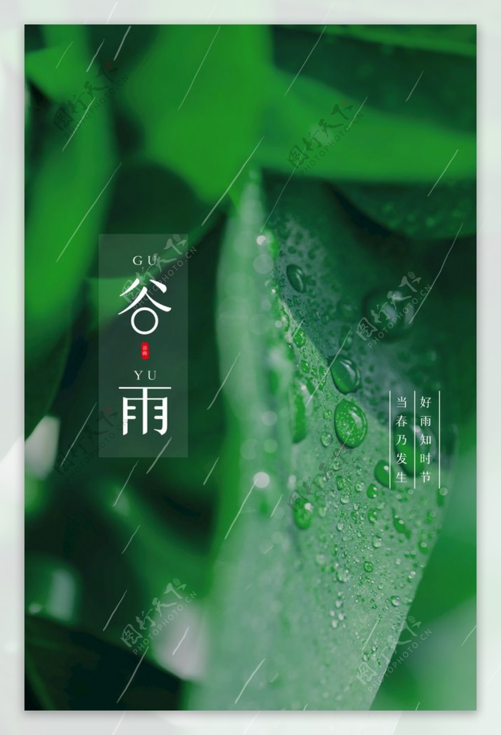 谷雨