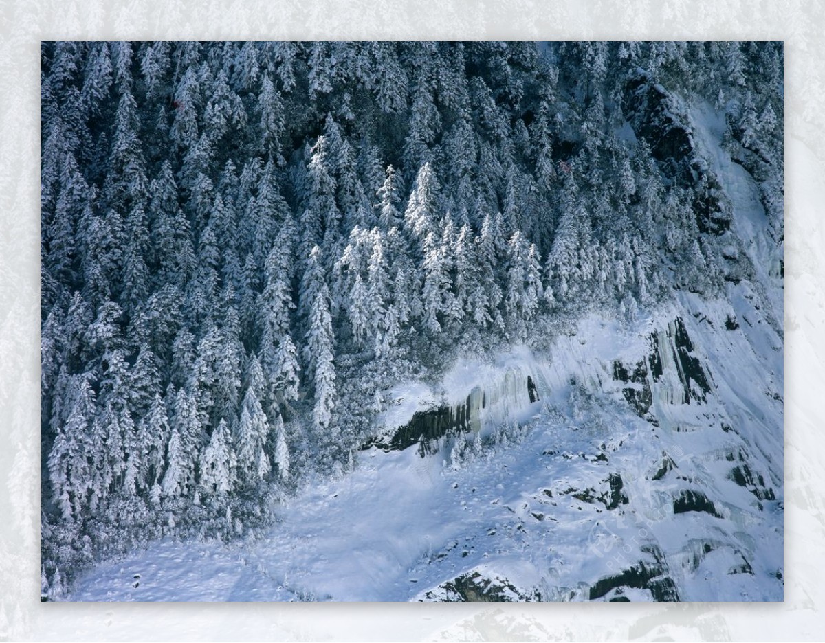 雪山的景色