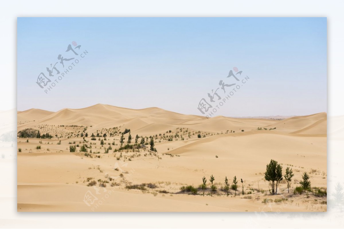 库布其沙漠草原