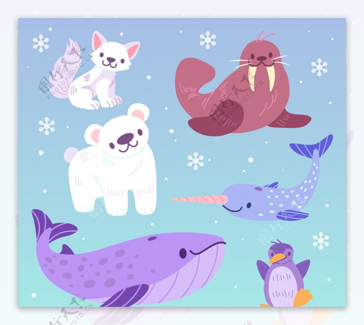6款可爱南北极动物