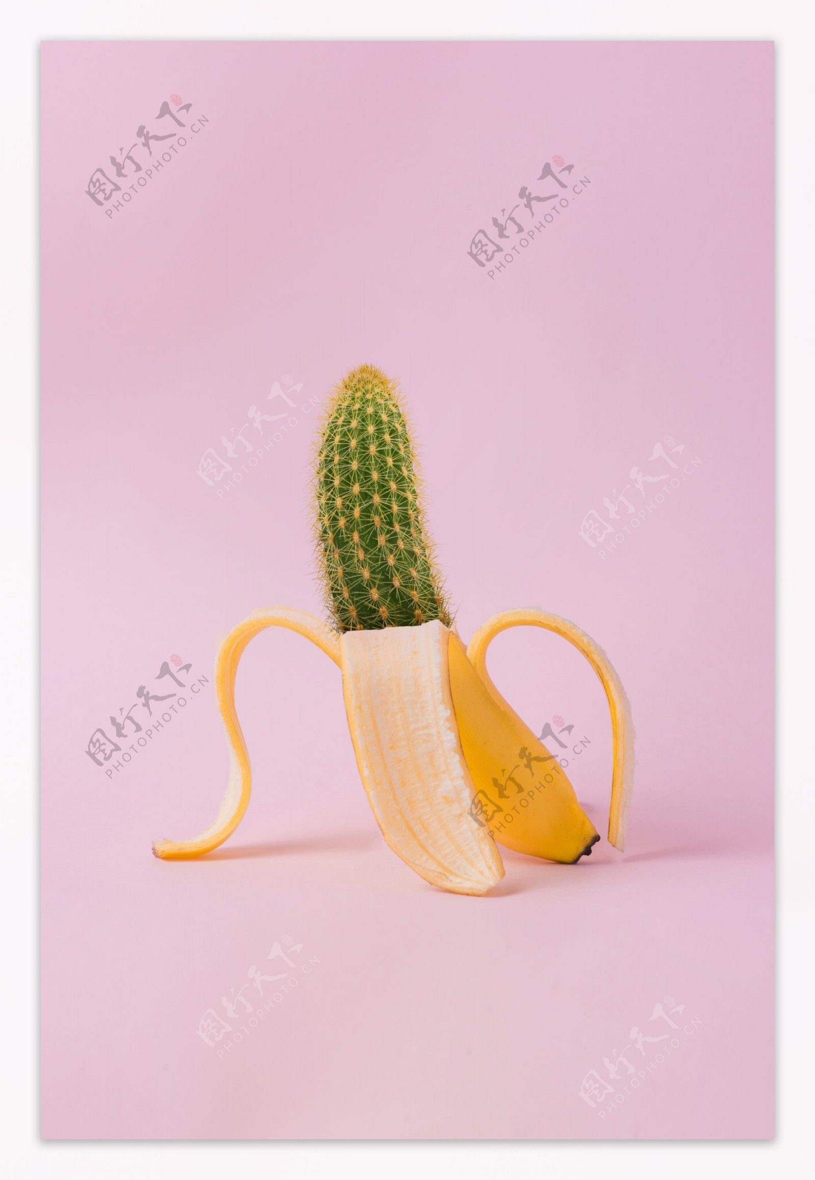 仙人掌香蕉创意