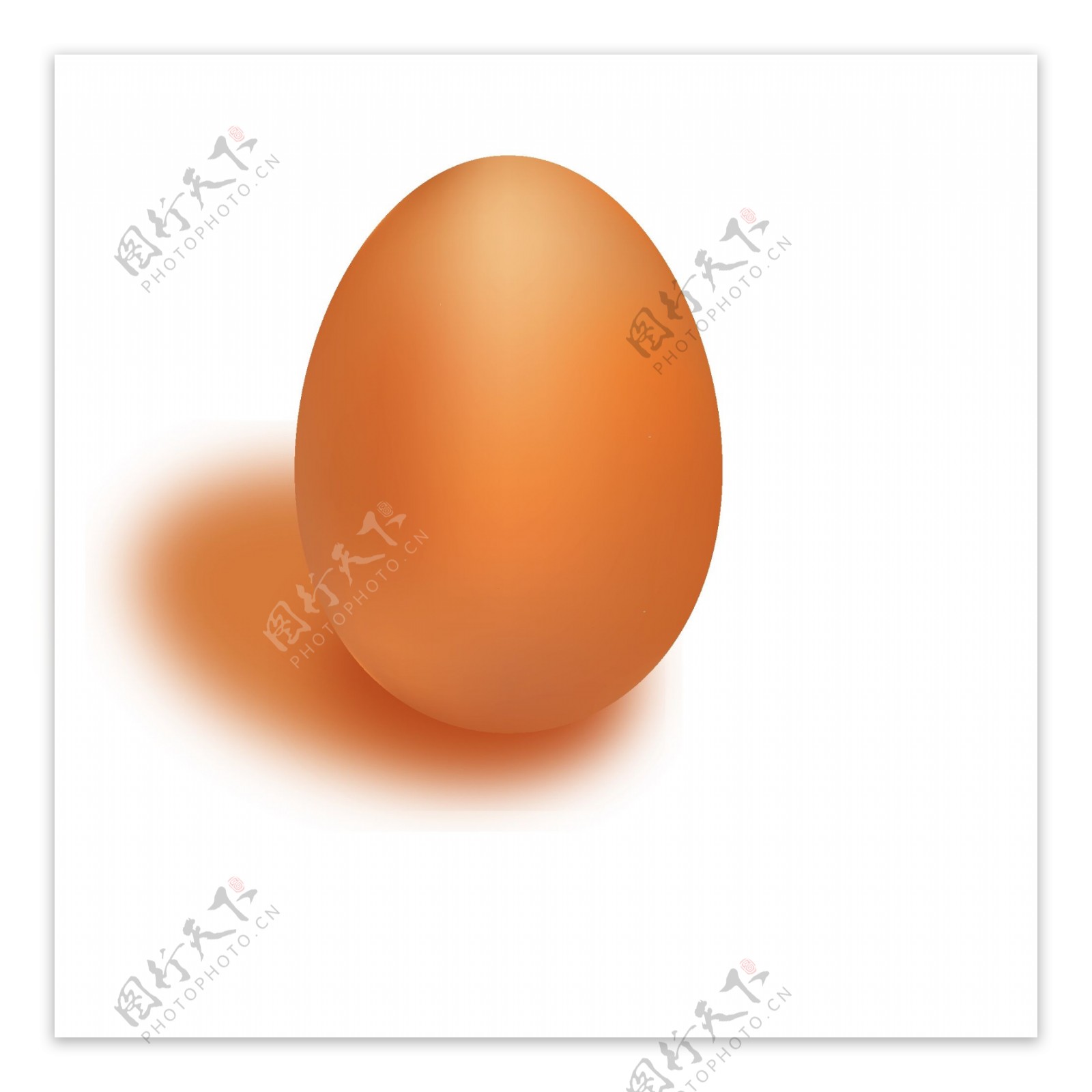 鸡蛋插画