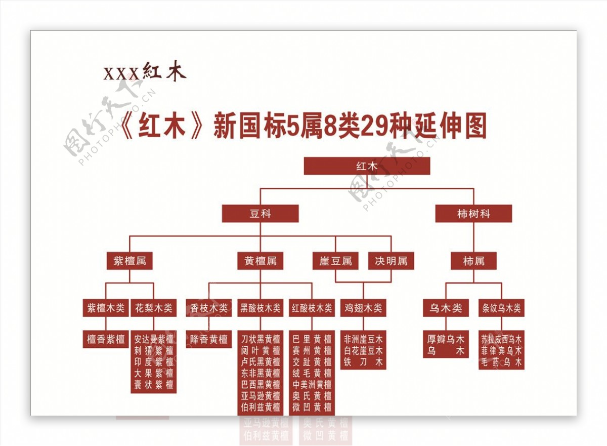 国标红木延伸图