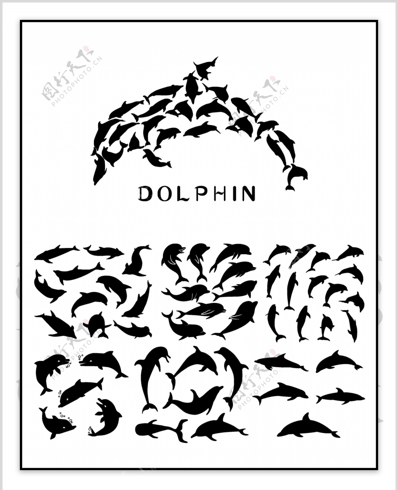 各种海豚造型剪影矢量元素