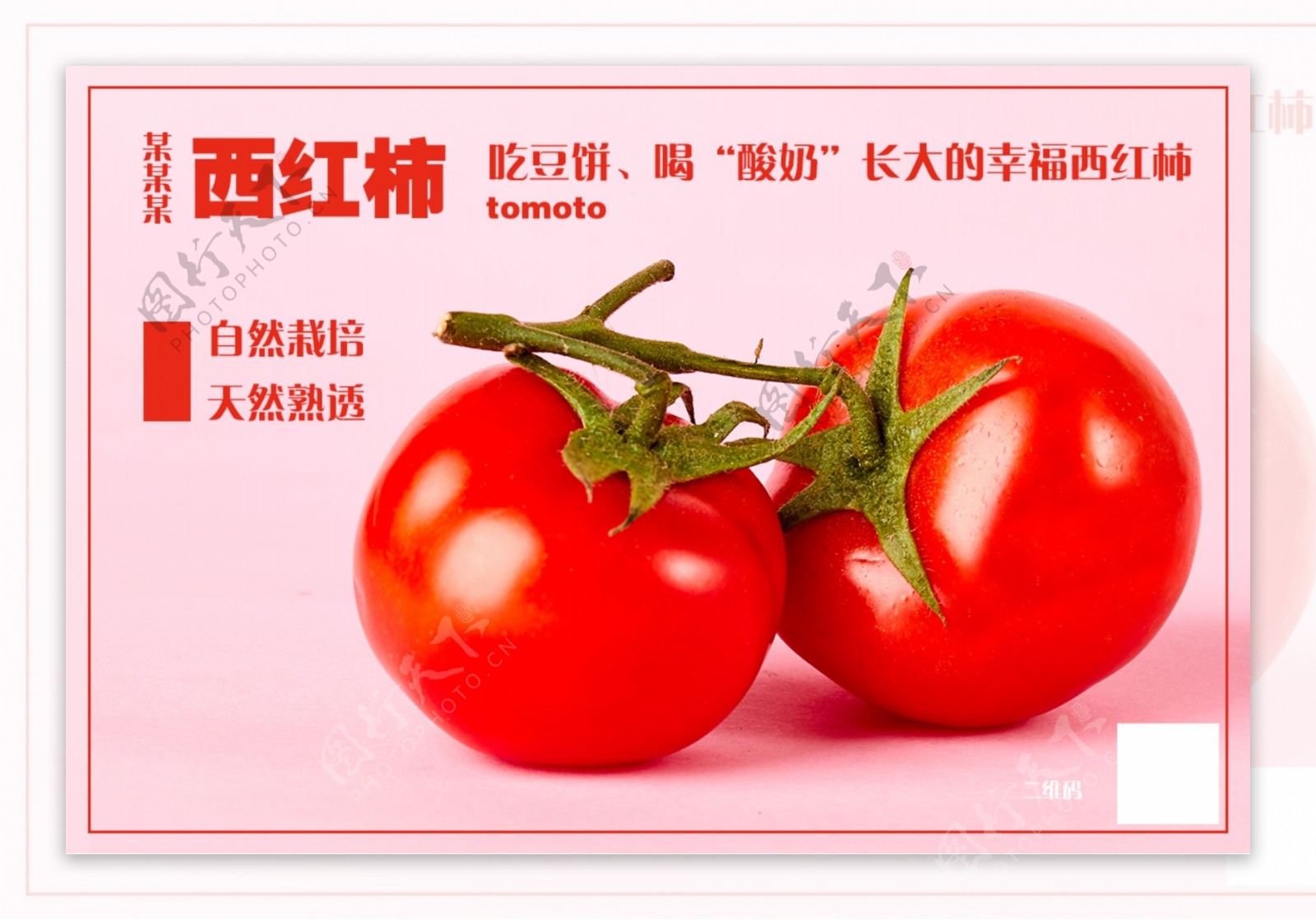西红柿宣传图