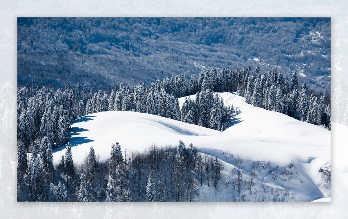 雪景