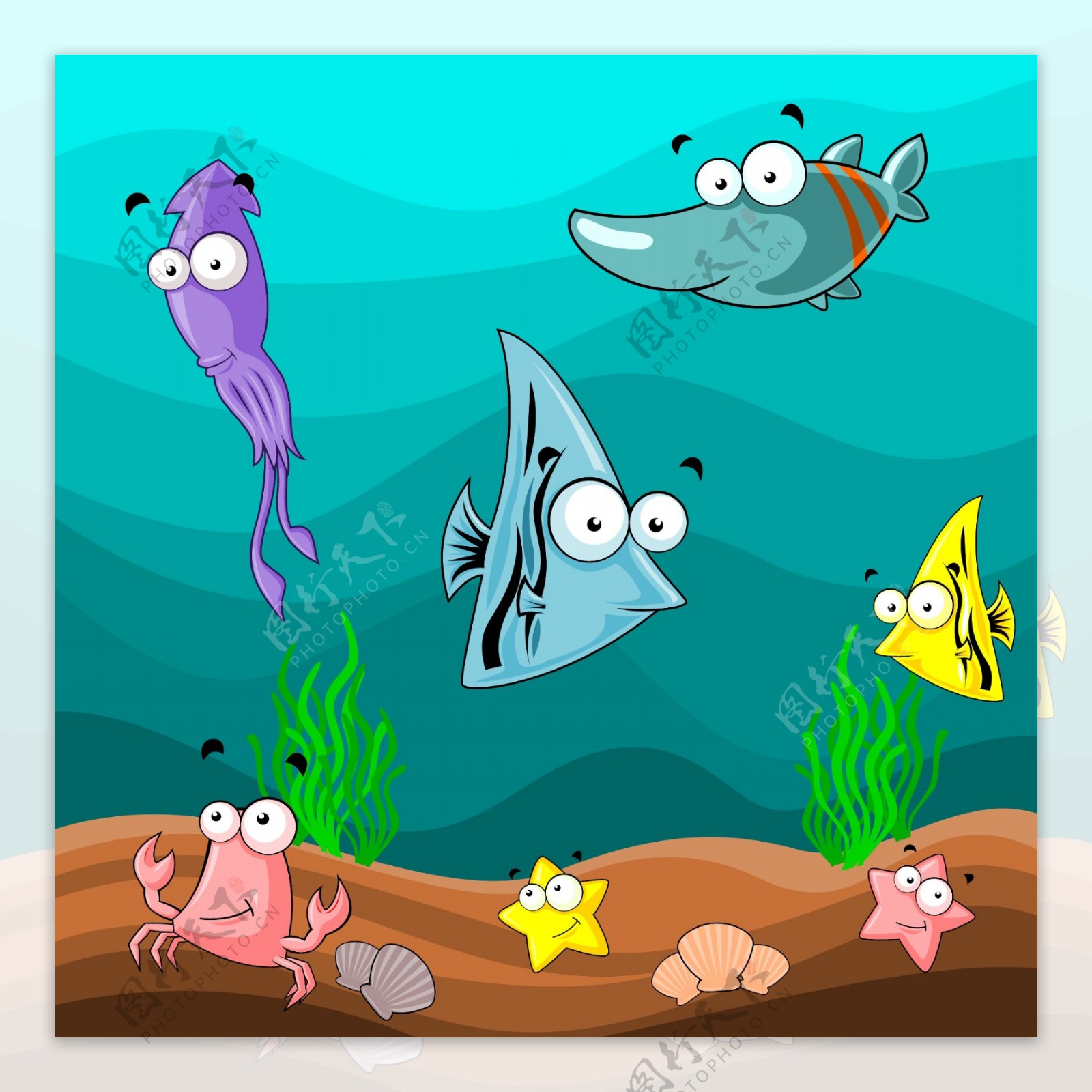 海洋动物插画