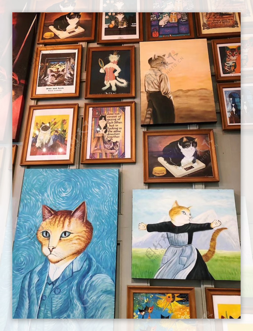 各种猫的绘画作品