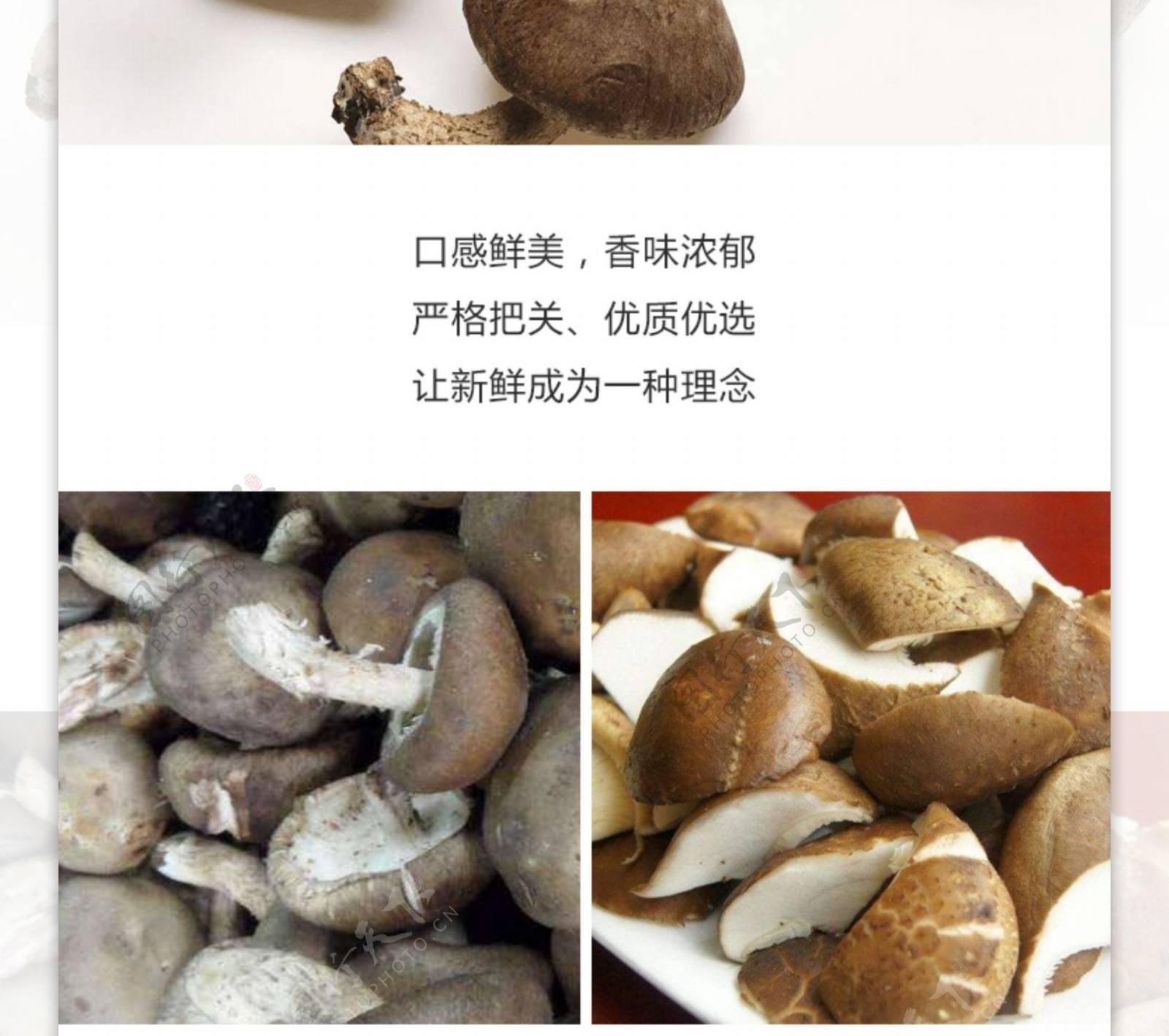 新鲜香菇详情页
