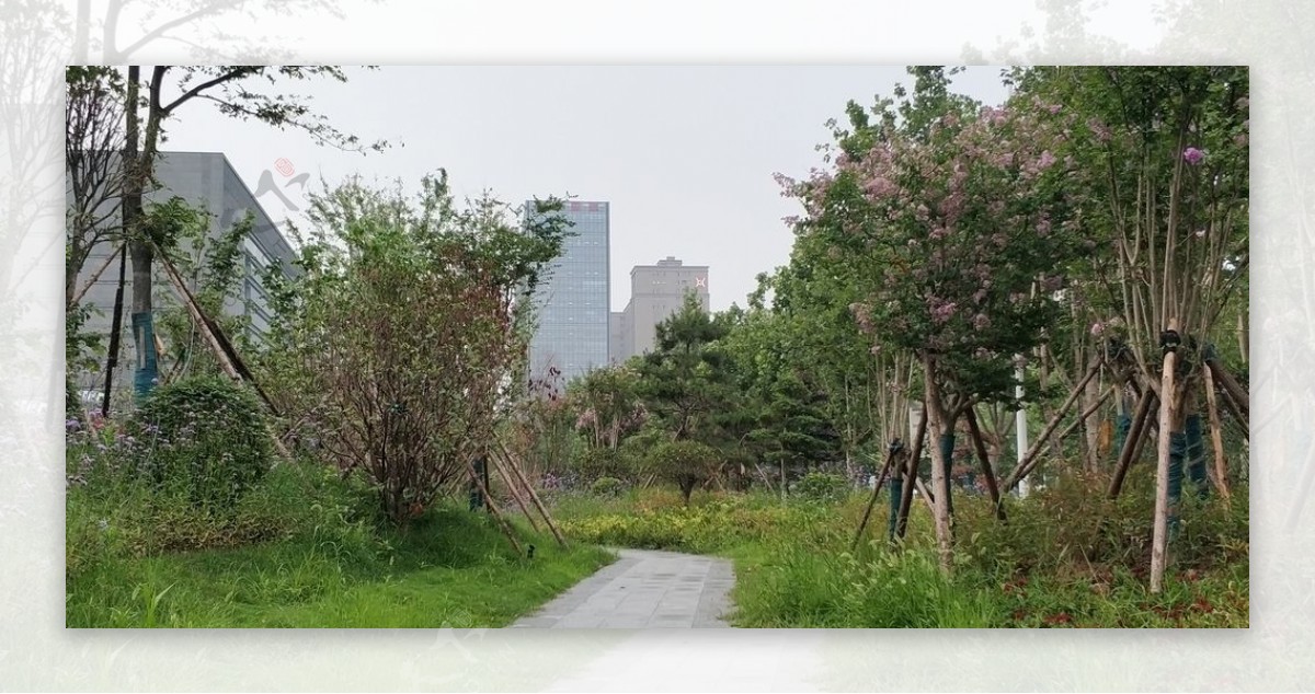 雨后路边