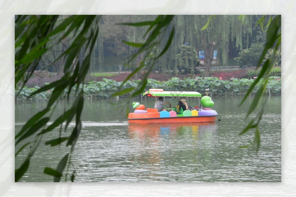 夏日风景