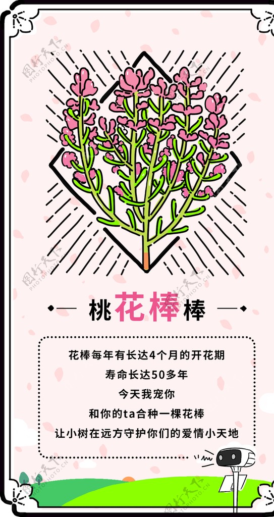 桃花棒花棒