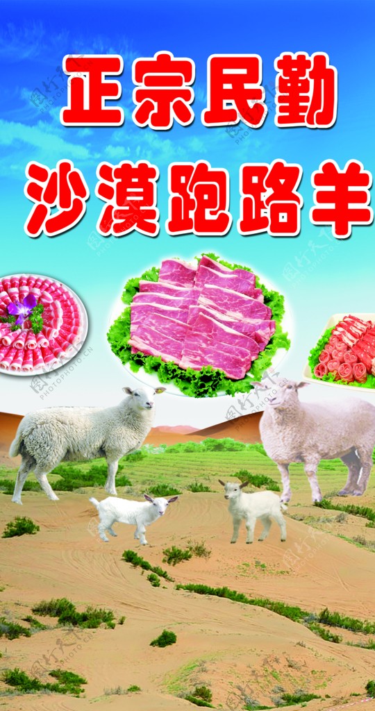 沙漠羊肉