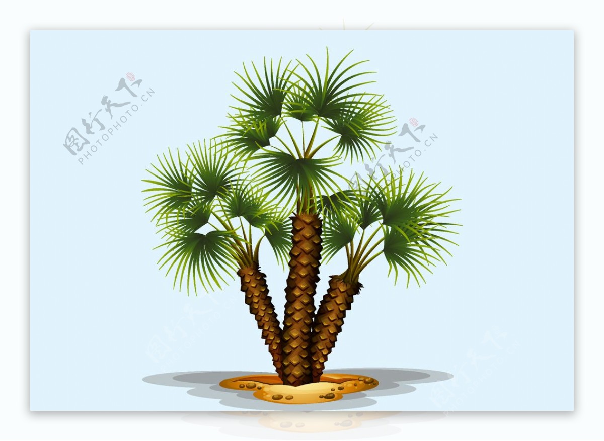 棕榈树手绘