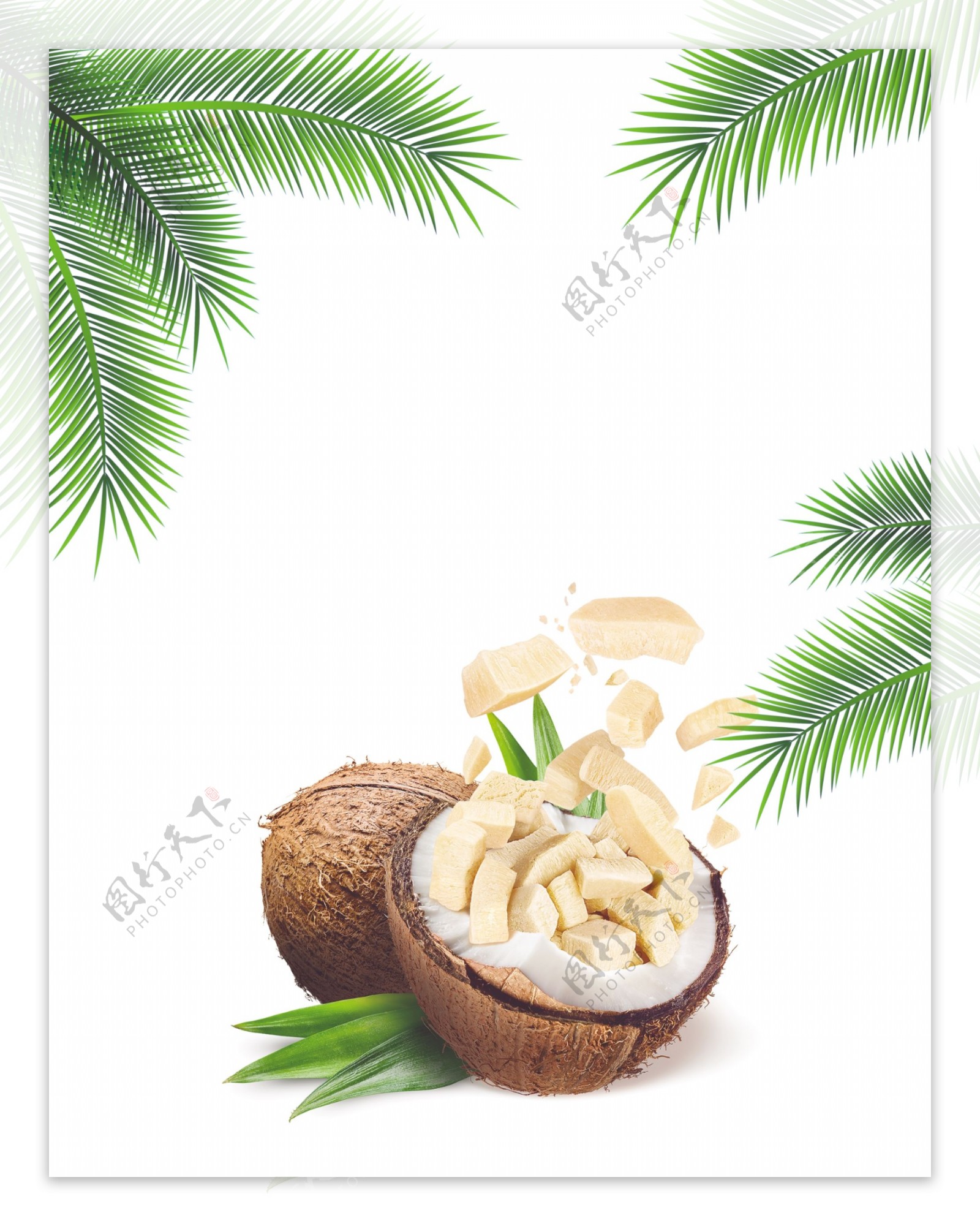 椰子块与椰子树