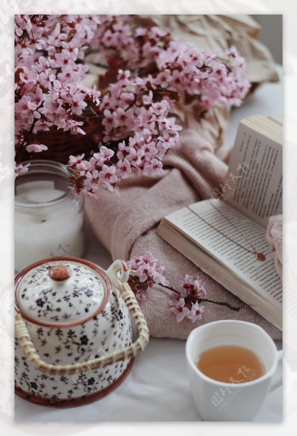 茶壶樱花
