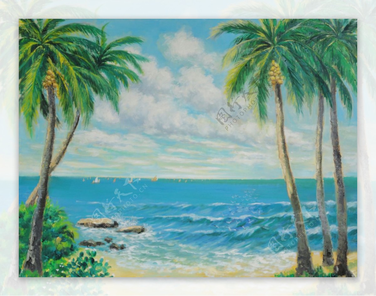 海滩椰子树椰子