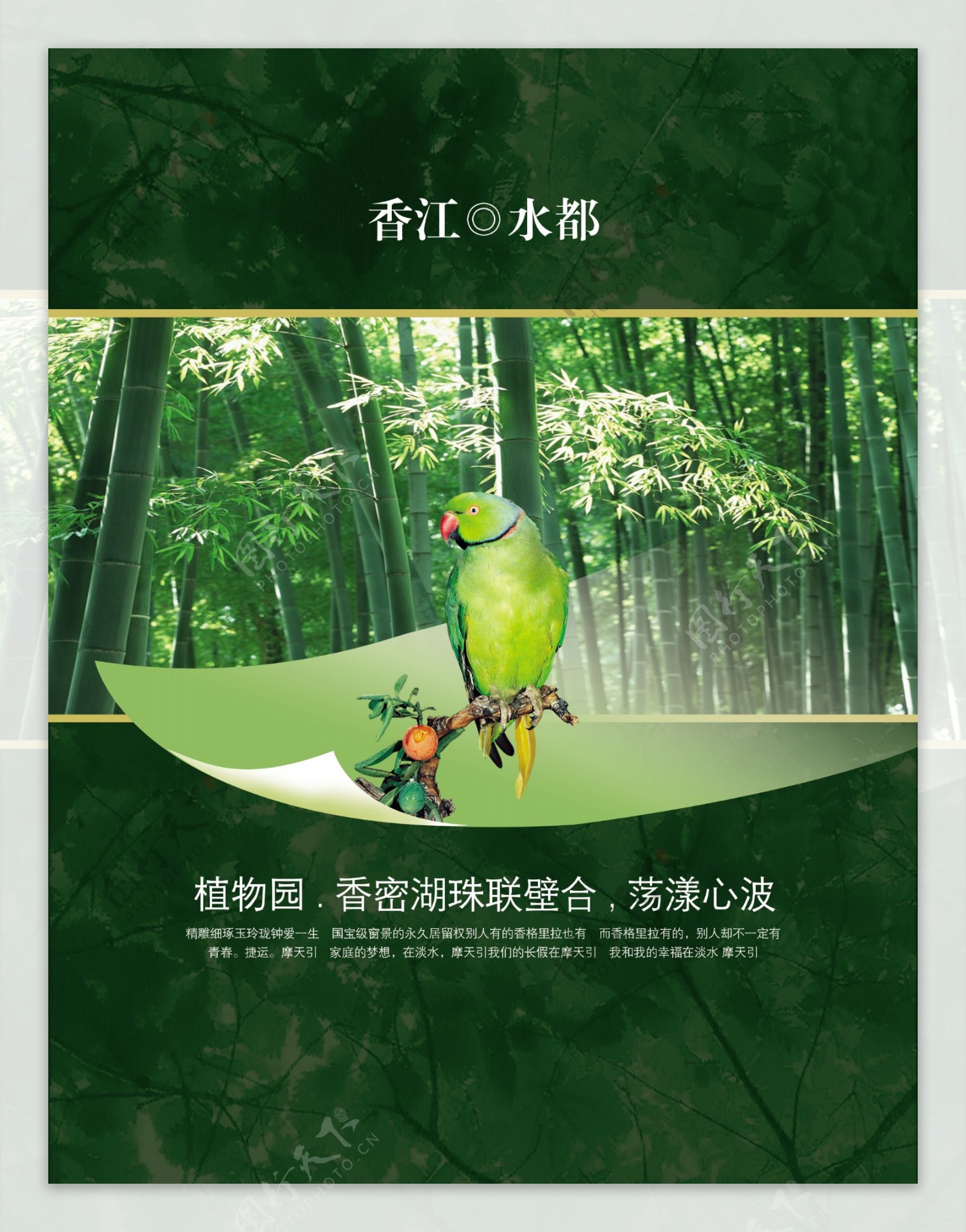 中国风竹林风景绿色文艺宣传海报