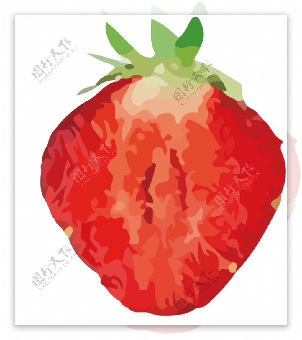 草莓水果蔬菜切片局部展示矢量图