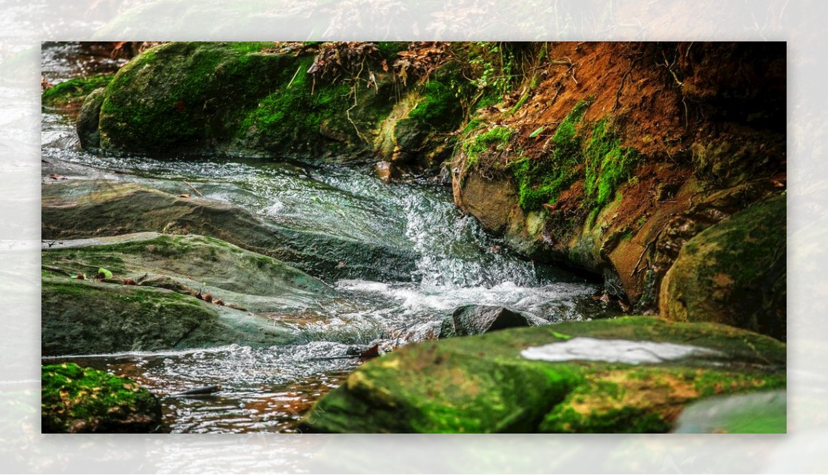 溪水自然生态清新背景素材