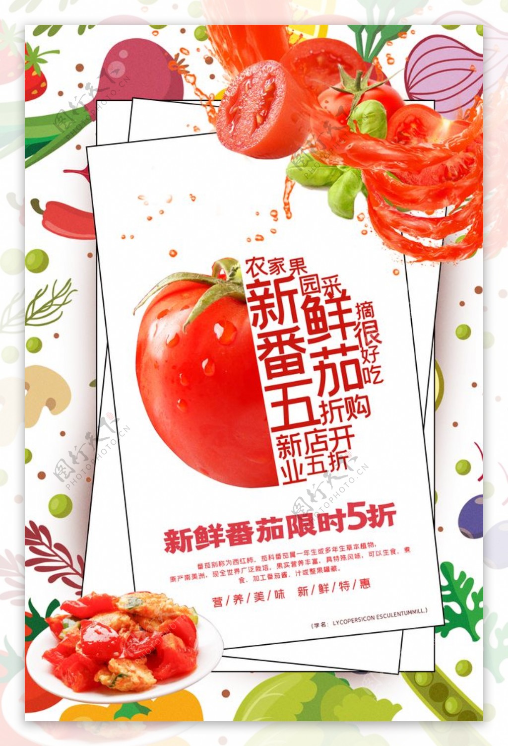 新鲜番茄水果活动宣传海报素材图片