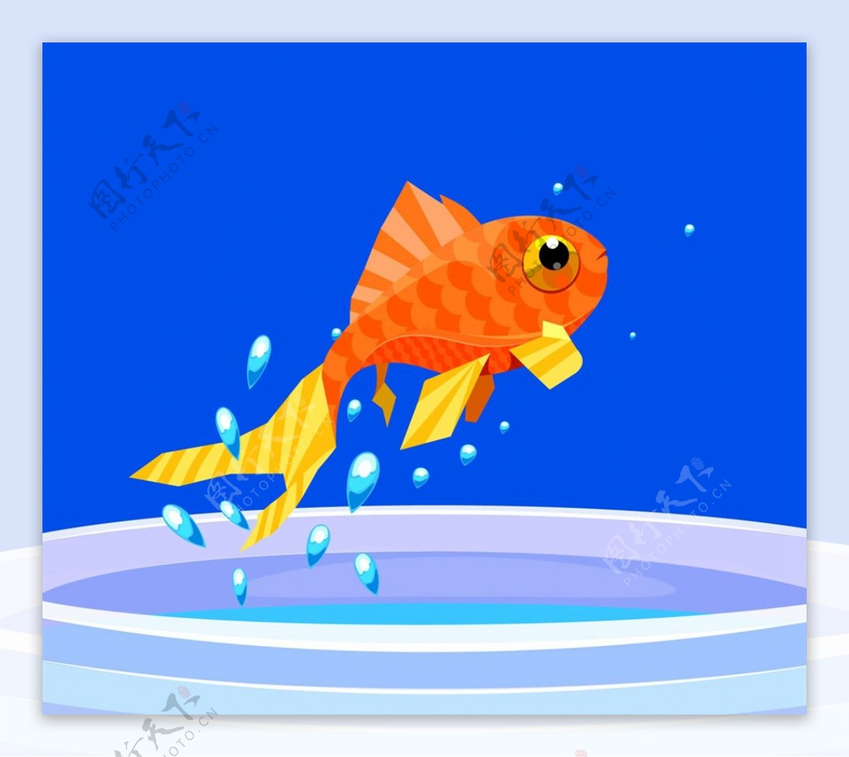 跳出鱼缸的金鱼图片