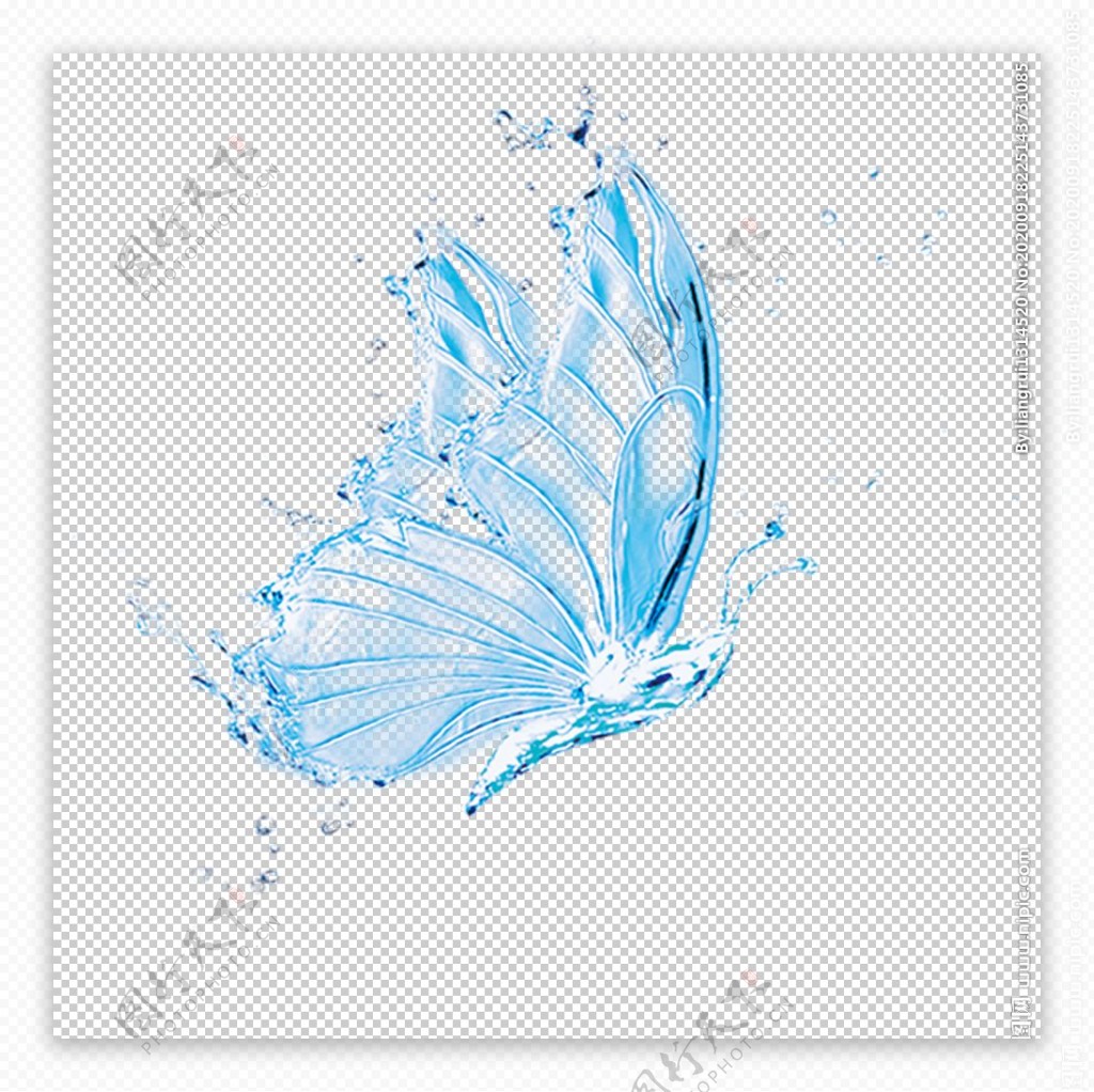 水蝴蝶图片