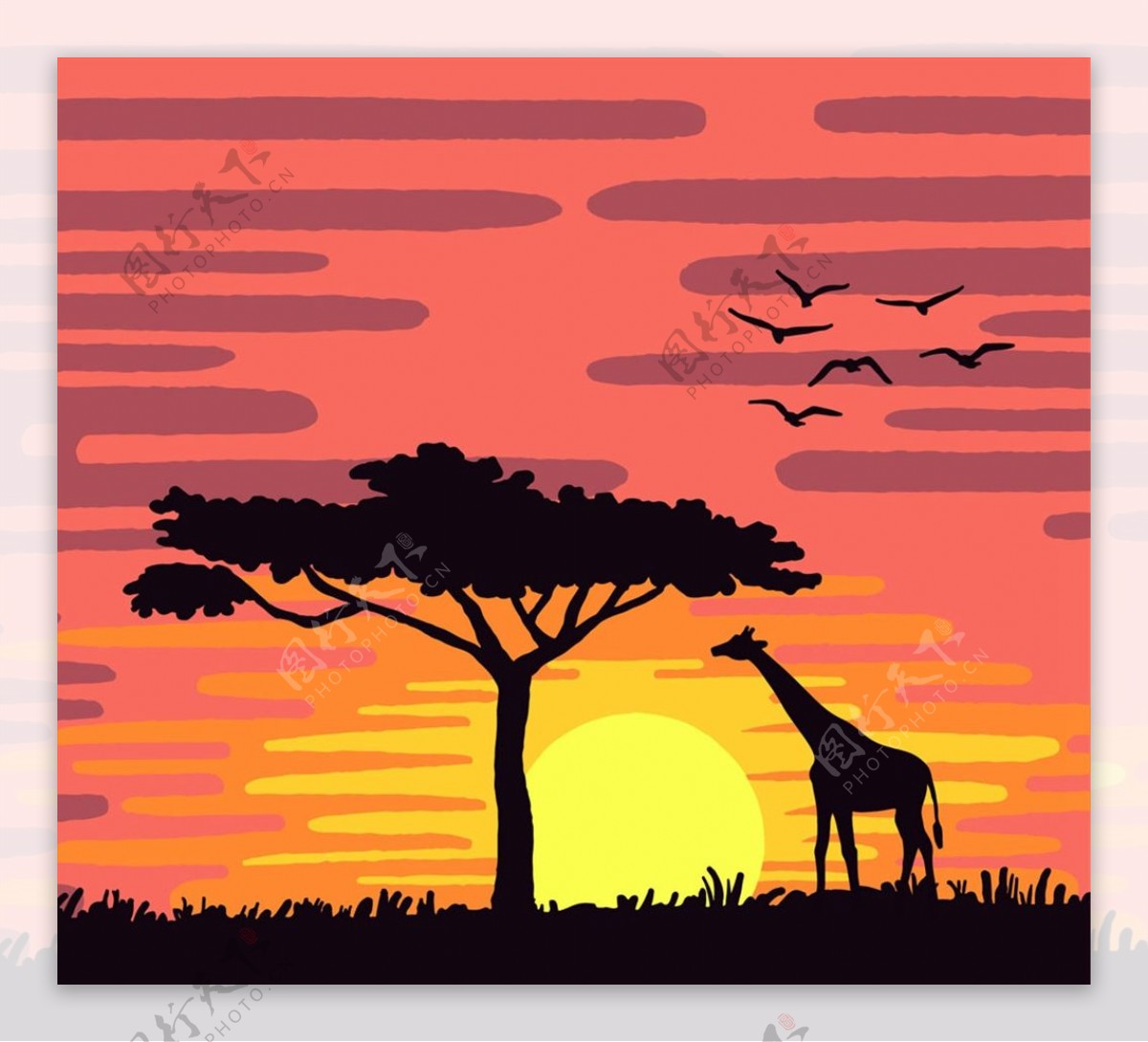 夕阳下的非洲图片