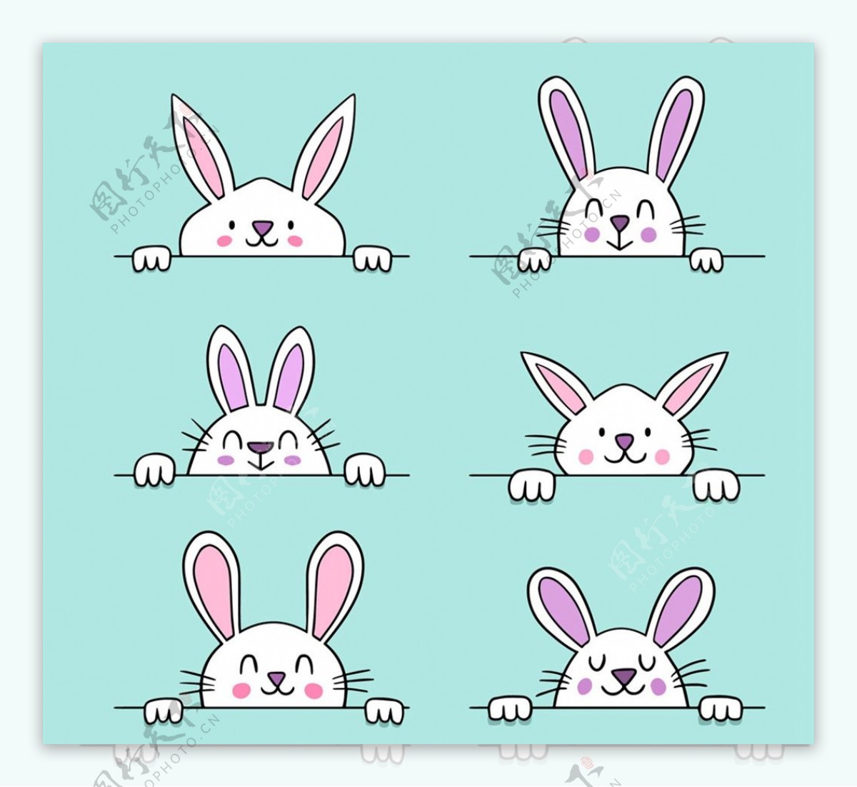 可爱白色笑脸兔子图片