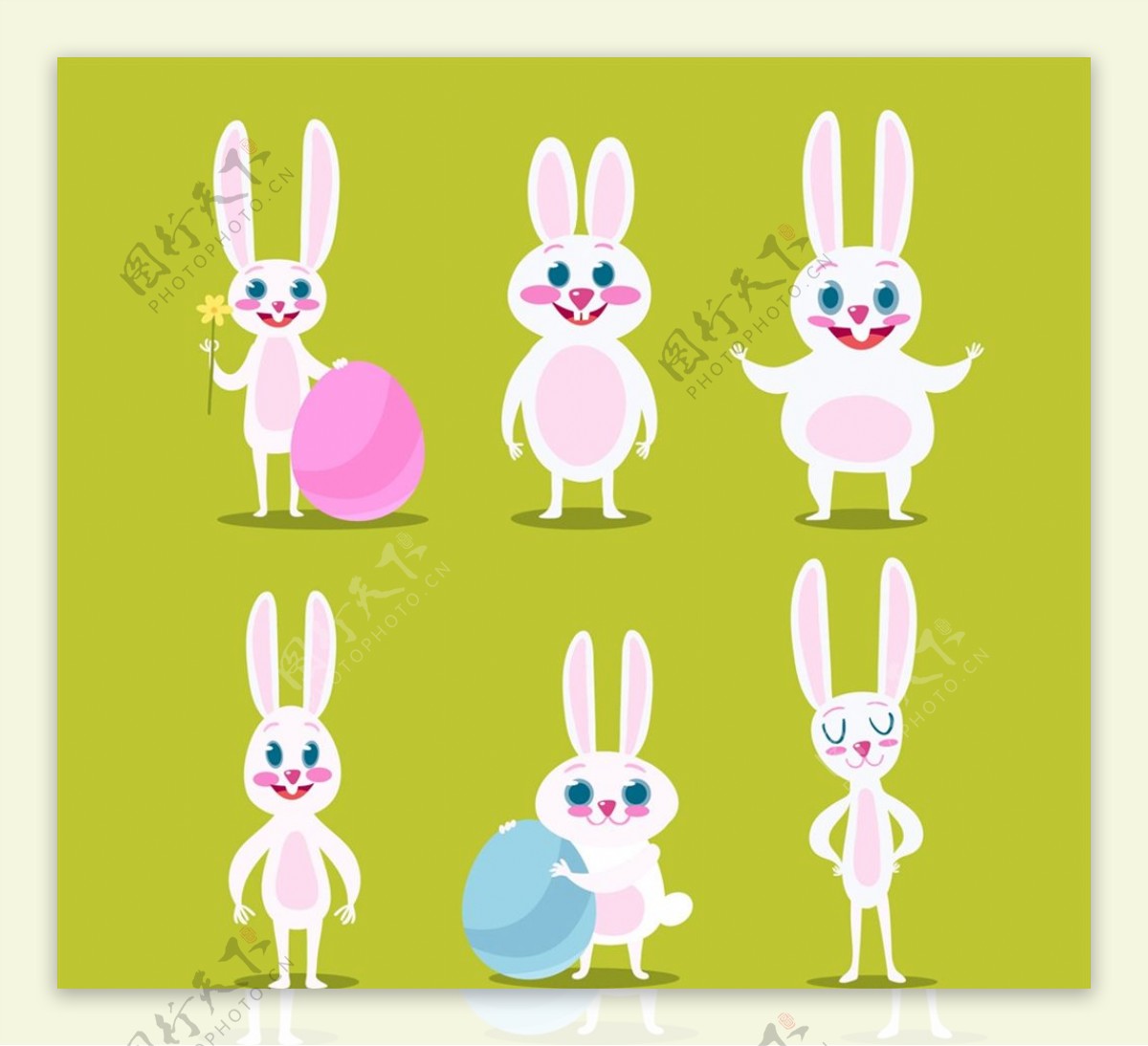 白色复活节兔子图片