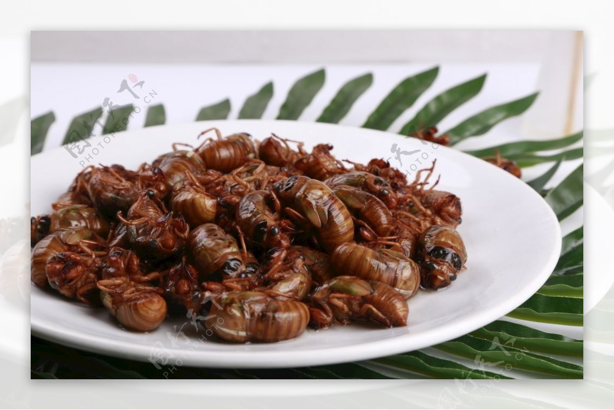 油炸金蝉怎么做_油炸金蝉的做法_尔東美食记_豆果美食
