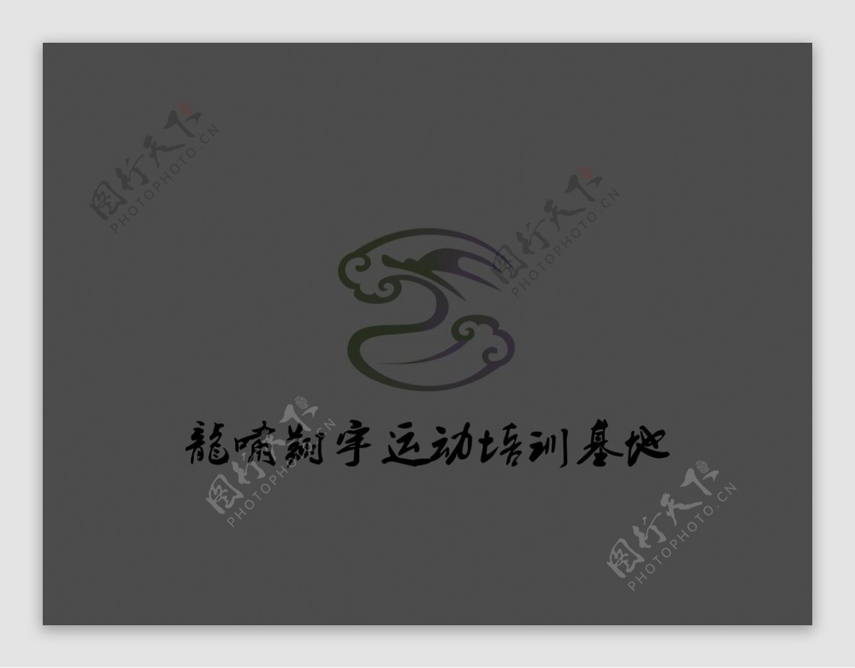 龙啸翔宇运动培训logo图片