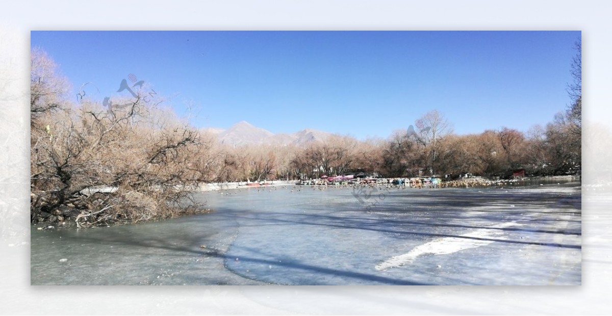 冰冻的湖泊风景图片