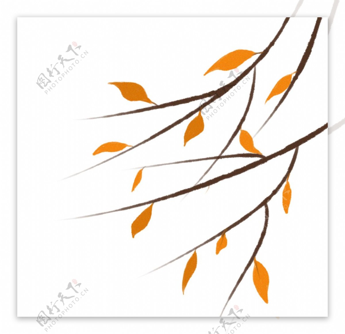秋天落叶树叶树枝元素装饰图片