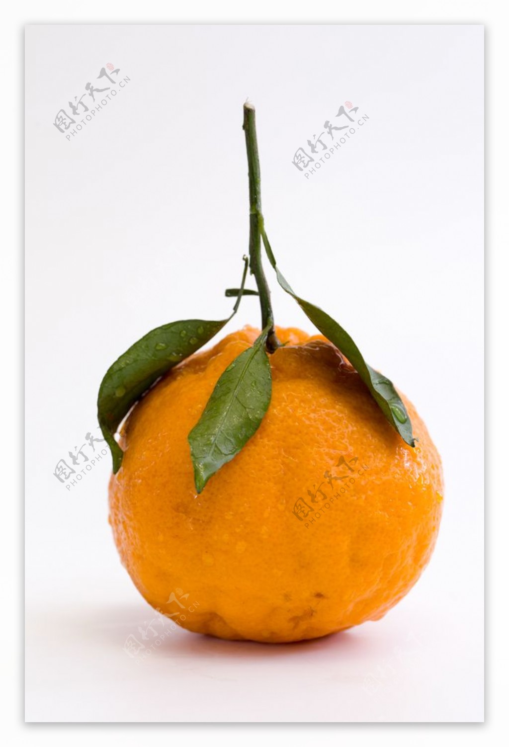 丑橘水果新鲜背景海报素材图片
