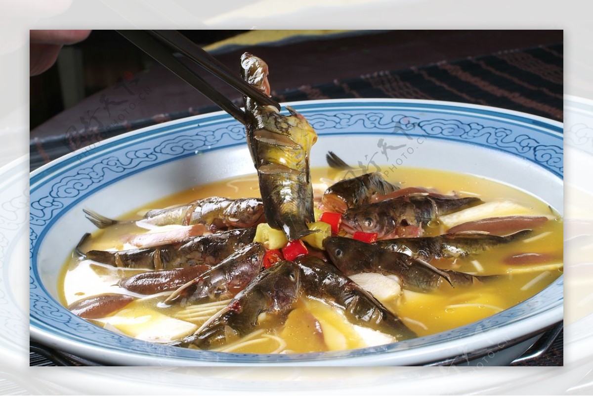 热河茴香三角蜂图片