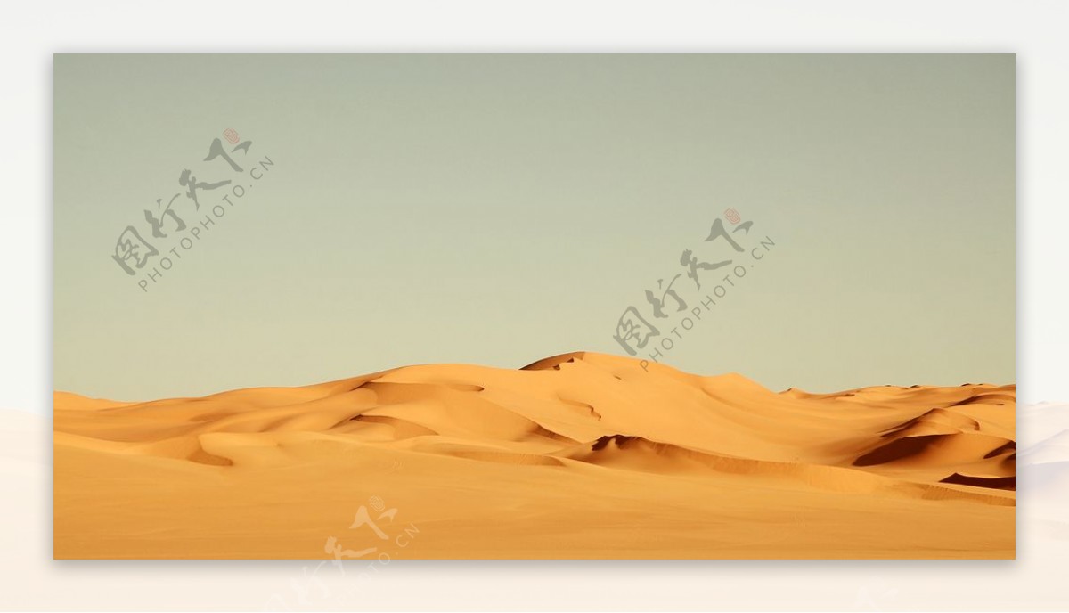 沙漠图图片