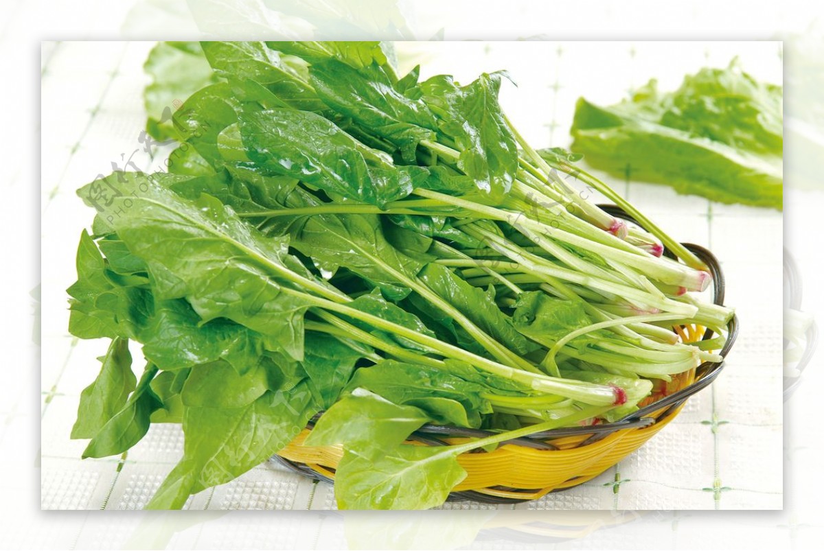 小叶菠菜种子小青菜波菜四季秋冬蔬菜种籽孑子菜籽老品种散装籽种-阿里巴巴